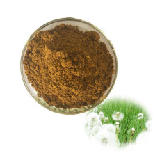 Factory Supply high quality Pure Natural herbal Extract Dandelion Root Extract